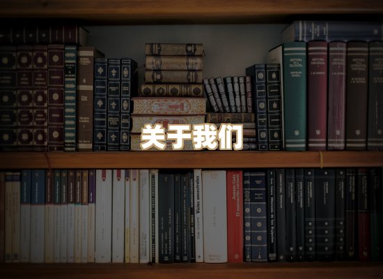关于丹选阅读站